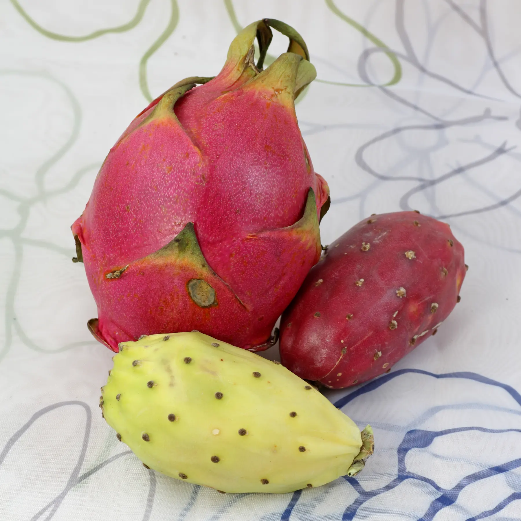 Kaktusfeigen und Drachenfrucht Pitahaya
